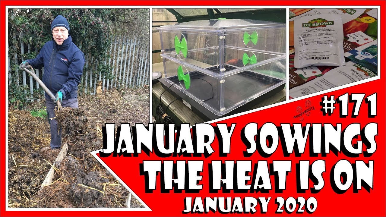MuddyBootz Allotment #171 - New Propagating System - Sowing Onions & Peppers - RSPB