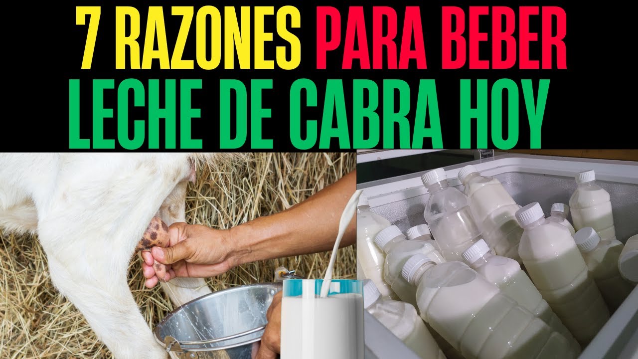 7 Beneficios INCRE&Iacute;BLES de la Leche de Cabra para tu Salud!