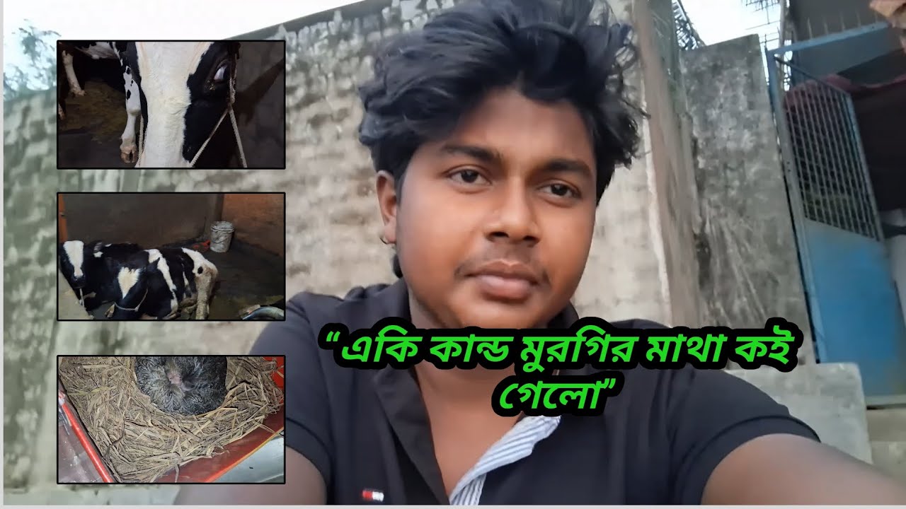 “একি কান্ড মুরগির মাথা কই গেলো”