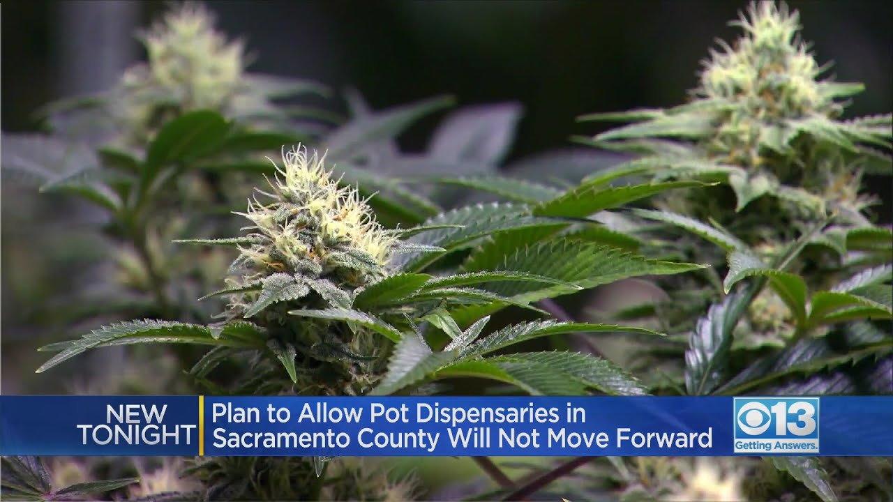 Plan To Allow Pot Dispensaries In Sacramento County Will Not Move Forward