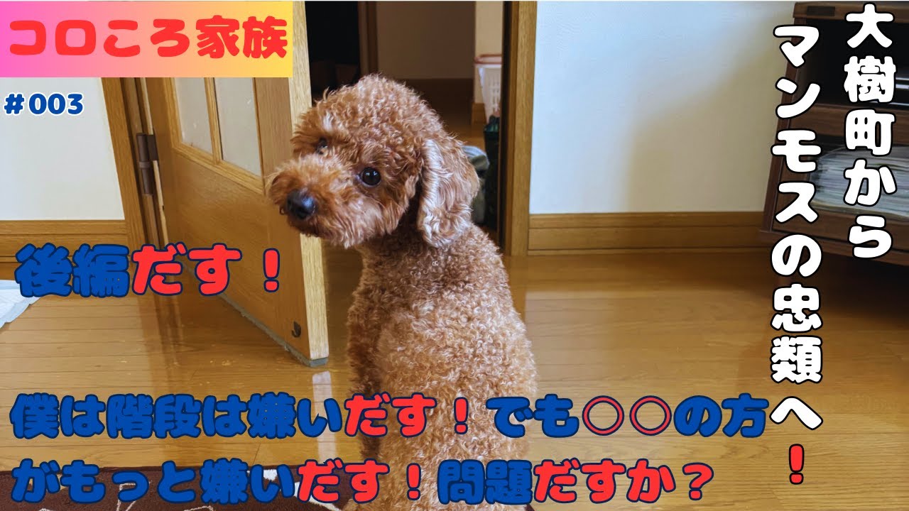 #003　大樹町へドライブだす！後編