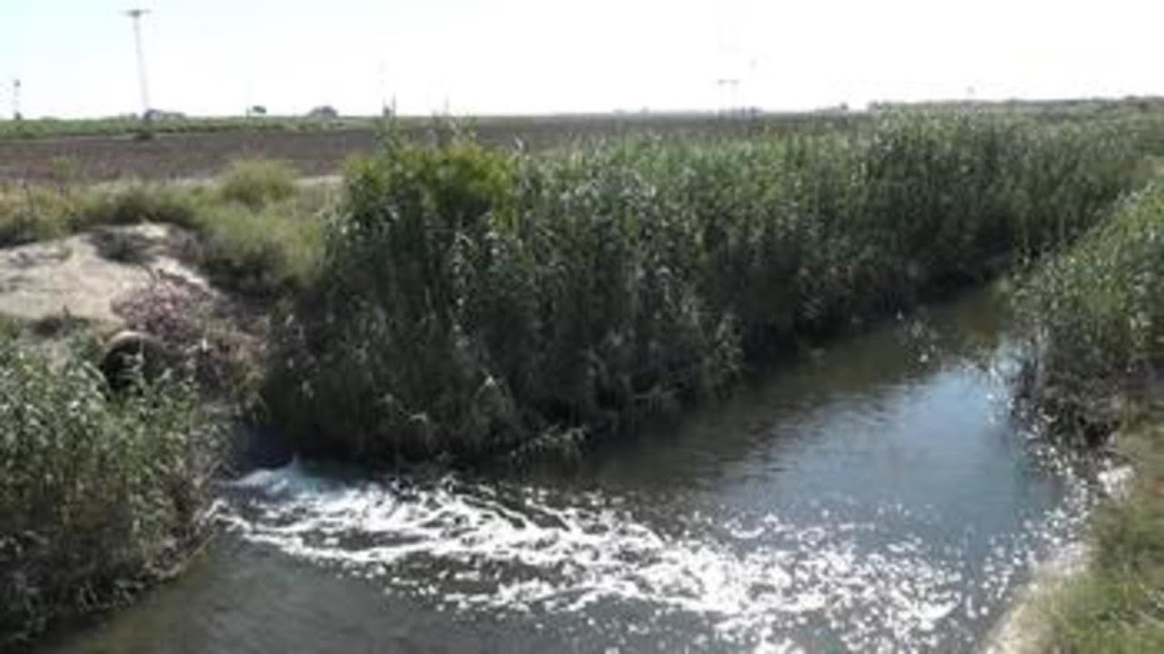 200 ingenieros relacionan las aguas residuales con el deterioro del Mar Menor