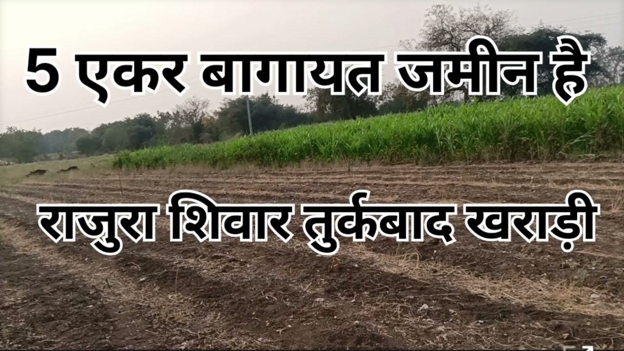 5 एकर बागायत जमीन है राजुरा शिवार तुर्कबाद खराड़ी डांबर रोड से एक खेत छोड़के ये जमीन है 