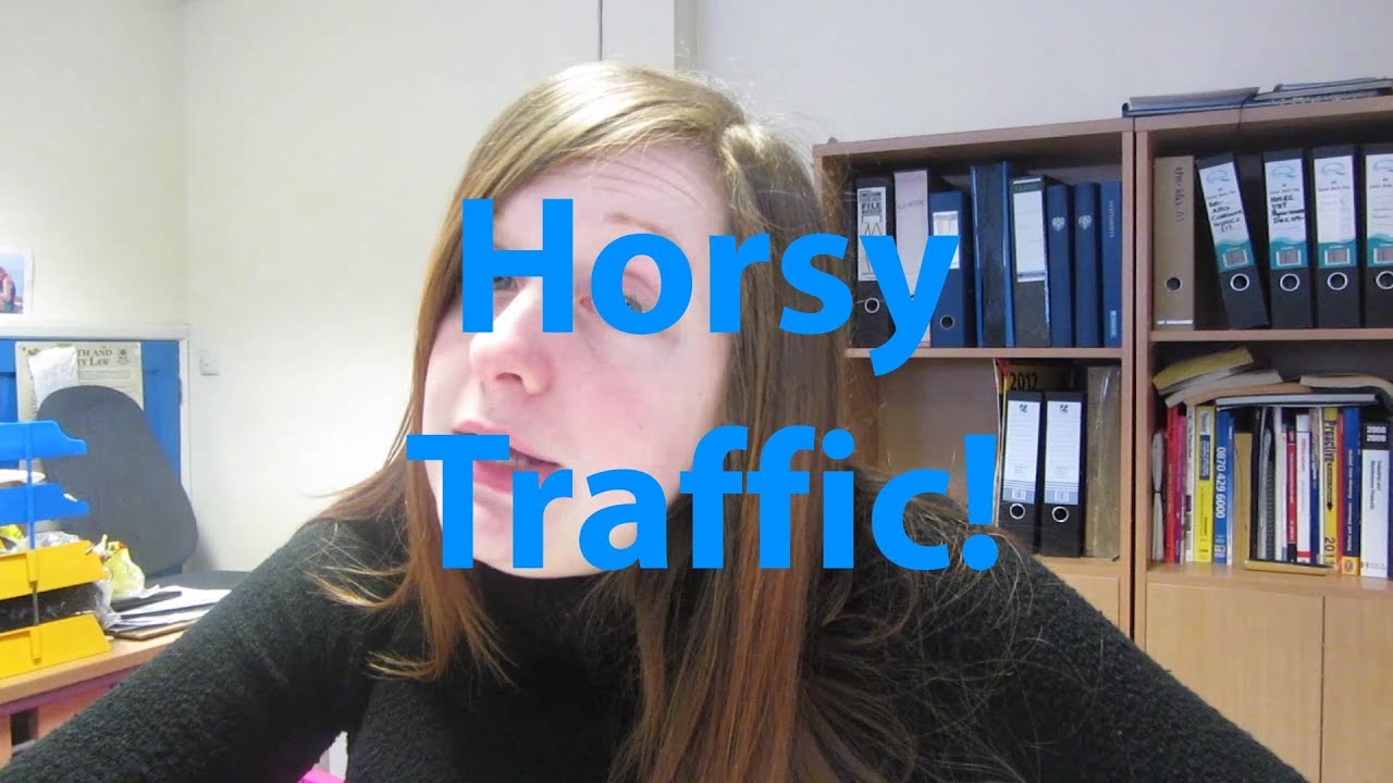 Horsy Traffic! - Day 185 : The Brit Vlog 12.03.2013