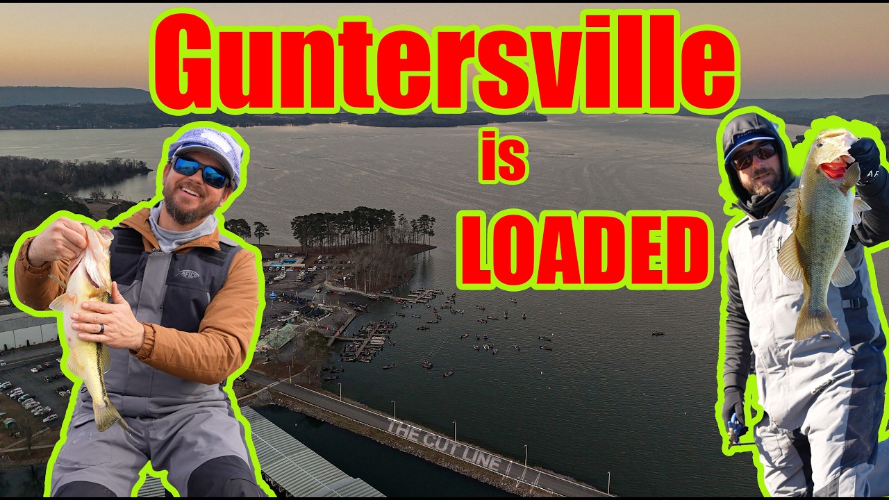 Guntersville Is LOADED... Cook & Benton's 2026 Elite Season Begins NOW
