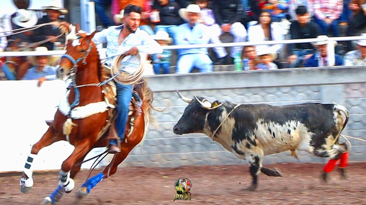 El OREO de Rancho El Carmen en la Plaza Rodeo Houston