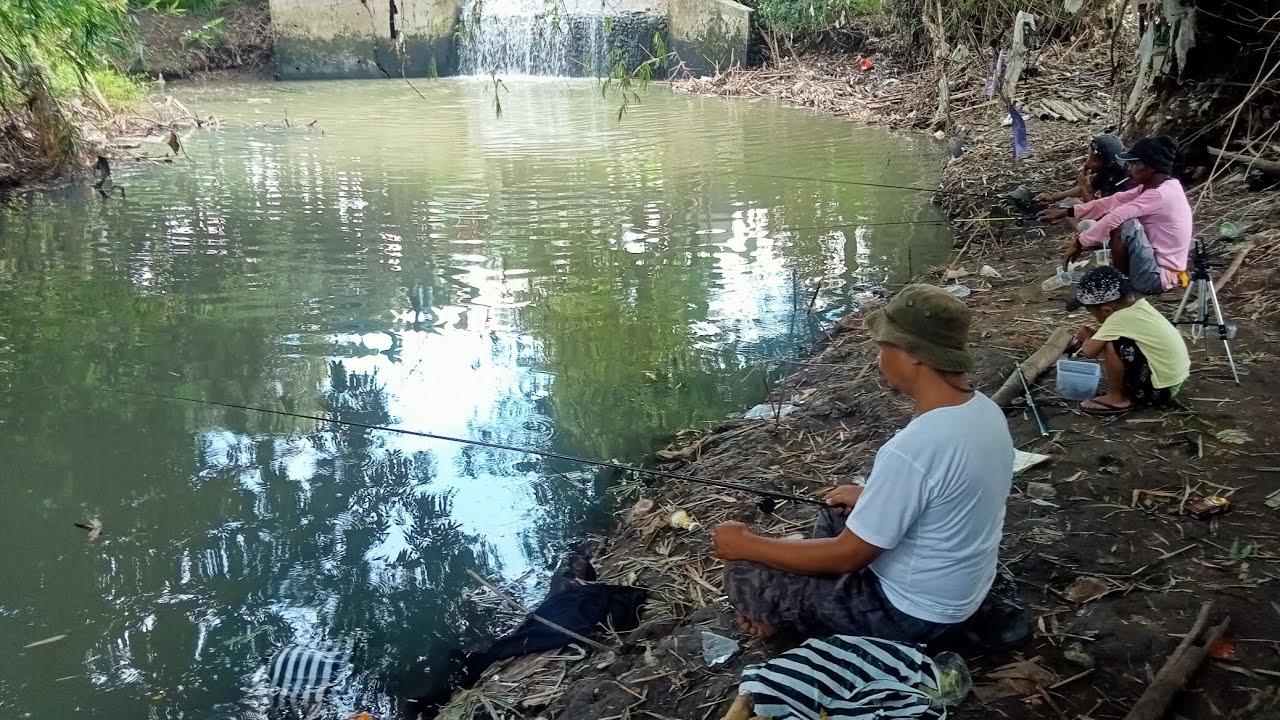 Hunting wader di sungai kampung