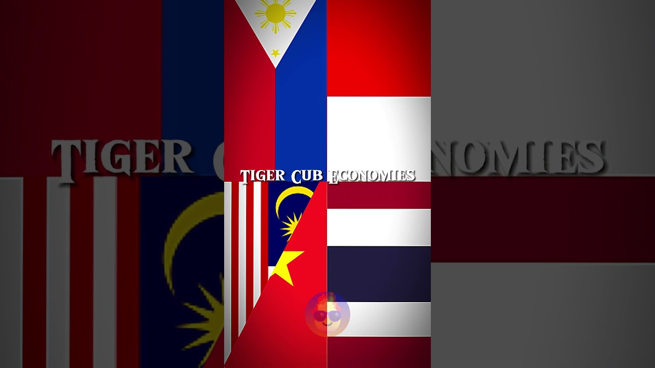 Tiger Cub Economies 🇮🇩🇵🇭🇹🇭🇲🇾🇻🇳 