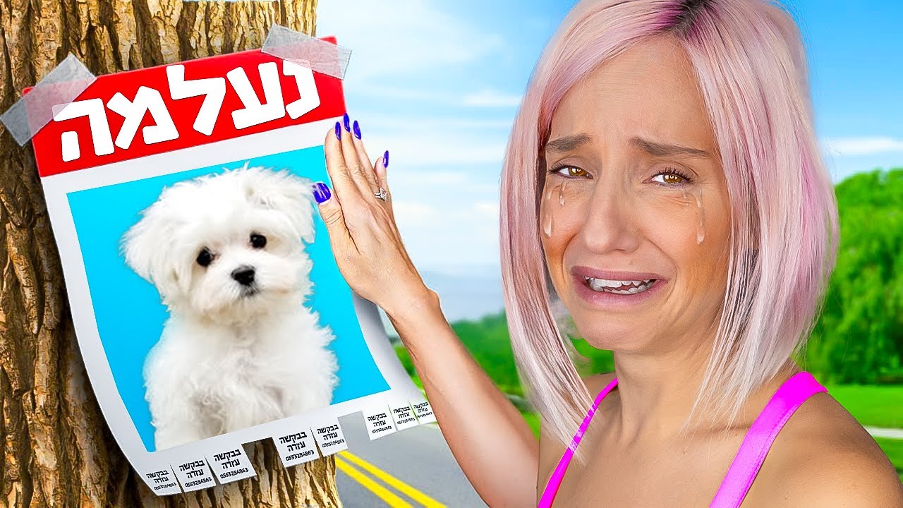 הגורה שלנו הלכה לאיבוד