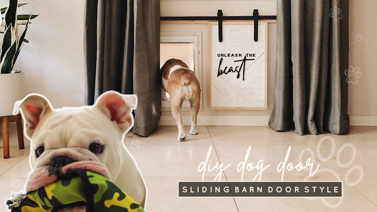 DIY Doggy Door | Mini Sliding Barn Door Style!