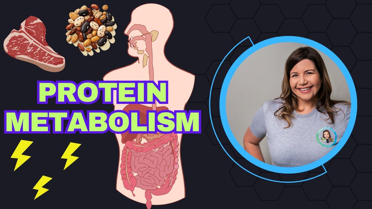 Protein Metabolism: How Your Body Uses Protein for Energy & Growth