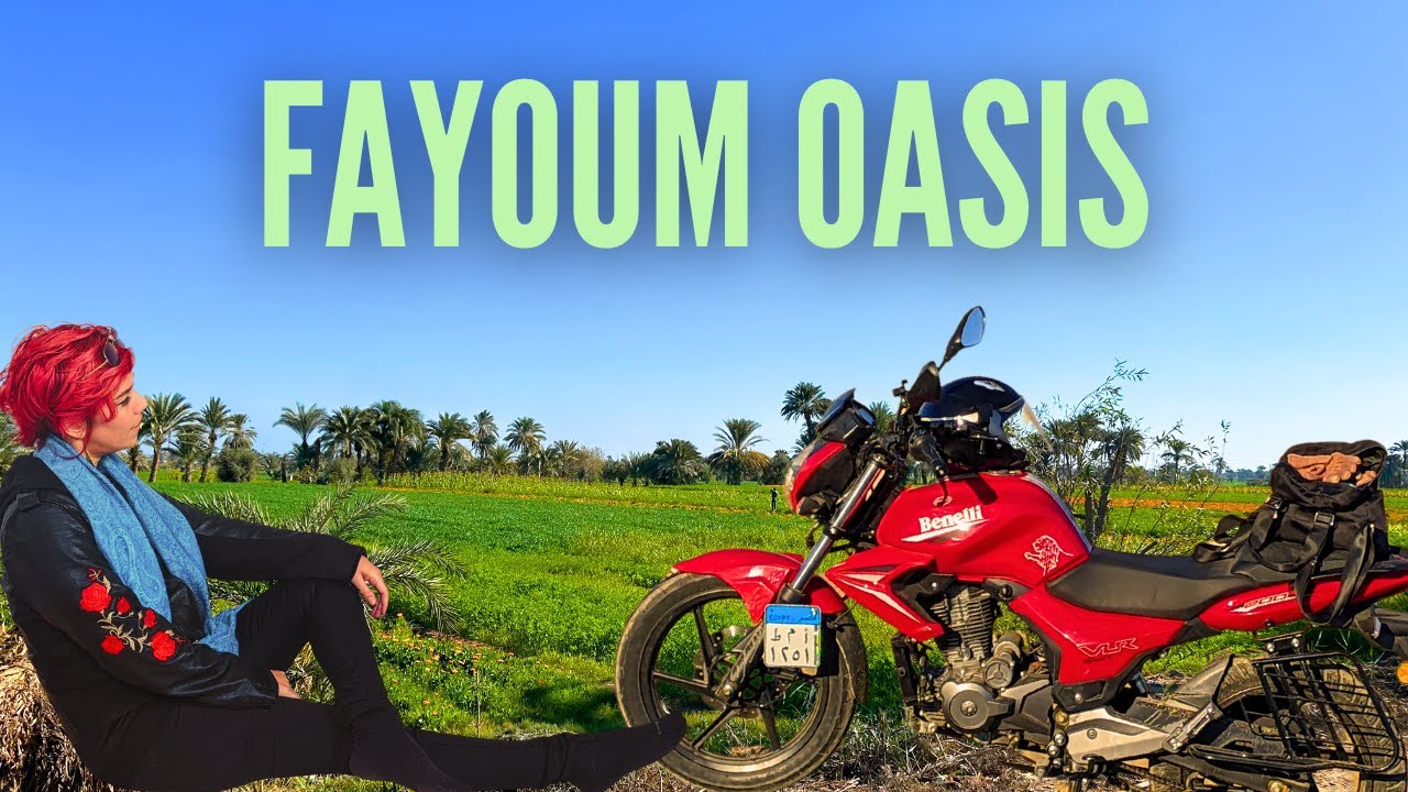 Fayoum Oasis | Ancient Crocodile City of Egypt