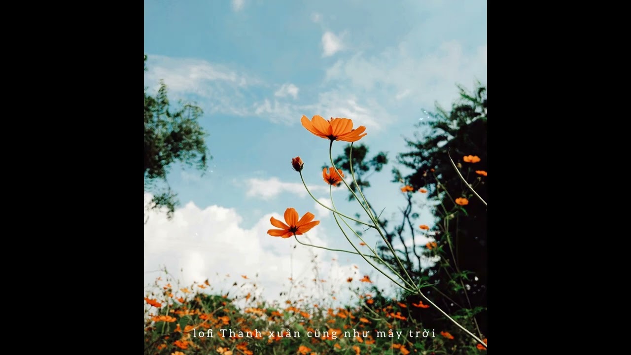 lofi Thanh xuân cũng như mây trời - Chí, Tú Anh |'Chúng ta chỉ là hai đường thẳng song song' |3 hour