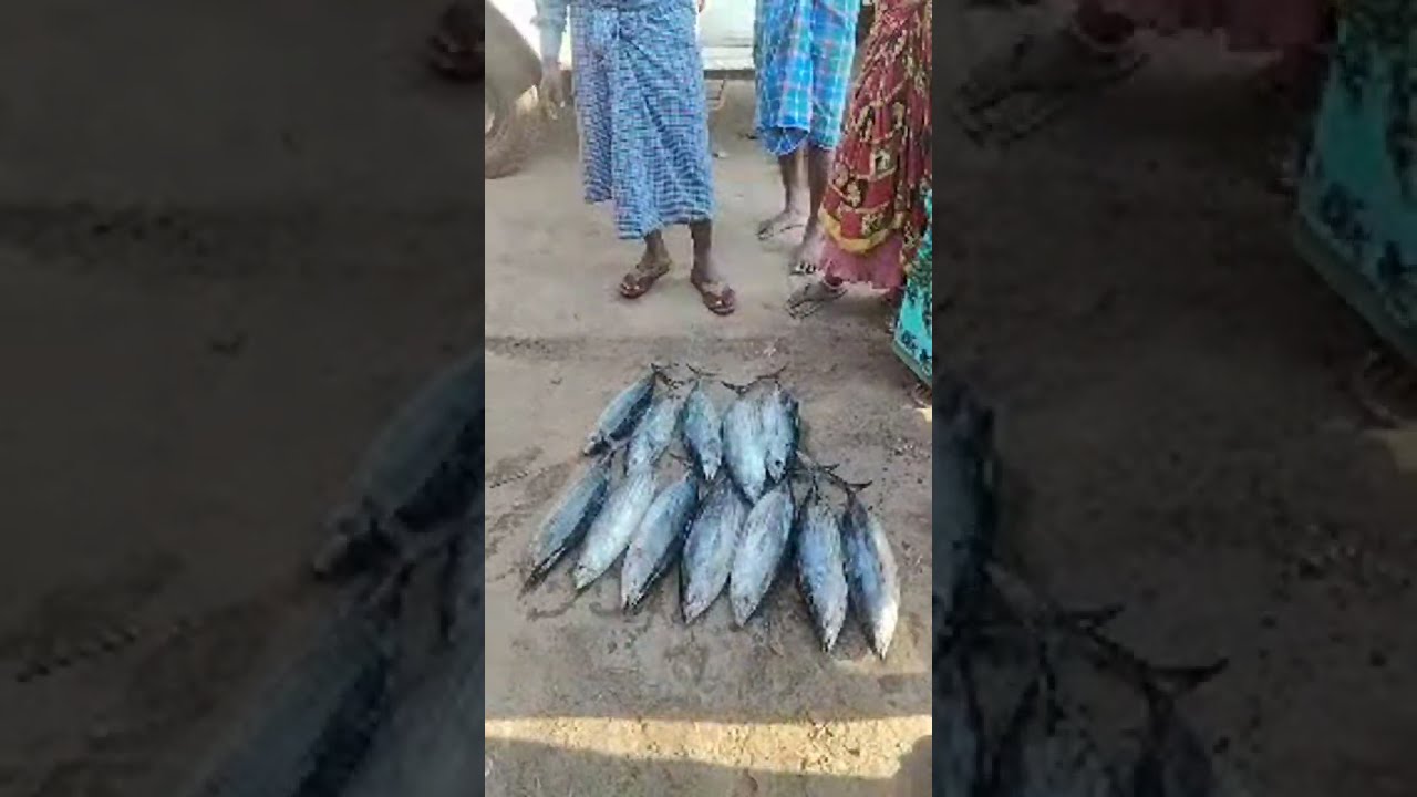 Mana Manchikosam is live