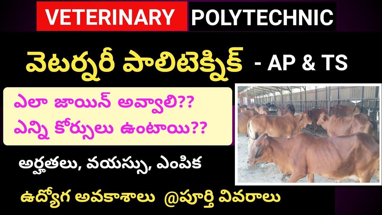 Veterinary Polytechnic Complete details in telugu | Age, Qualification, Jobs | Veterinary diploma
