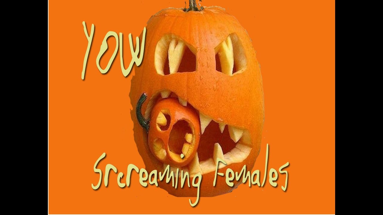 Screaming Females visit David Yow | Pancake Mountain