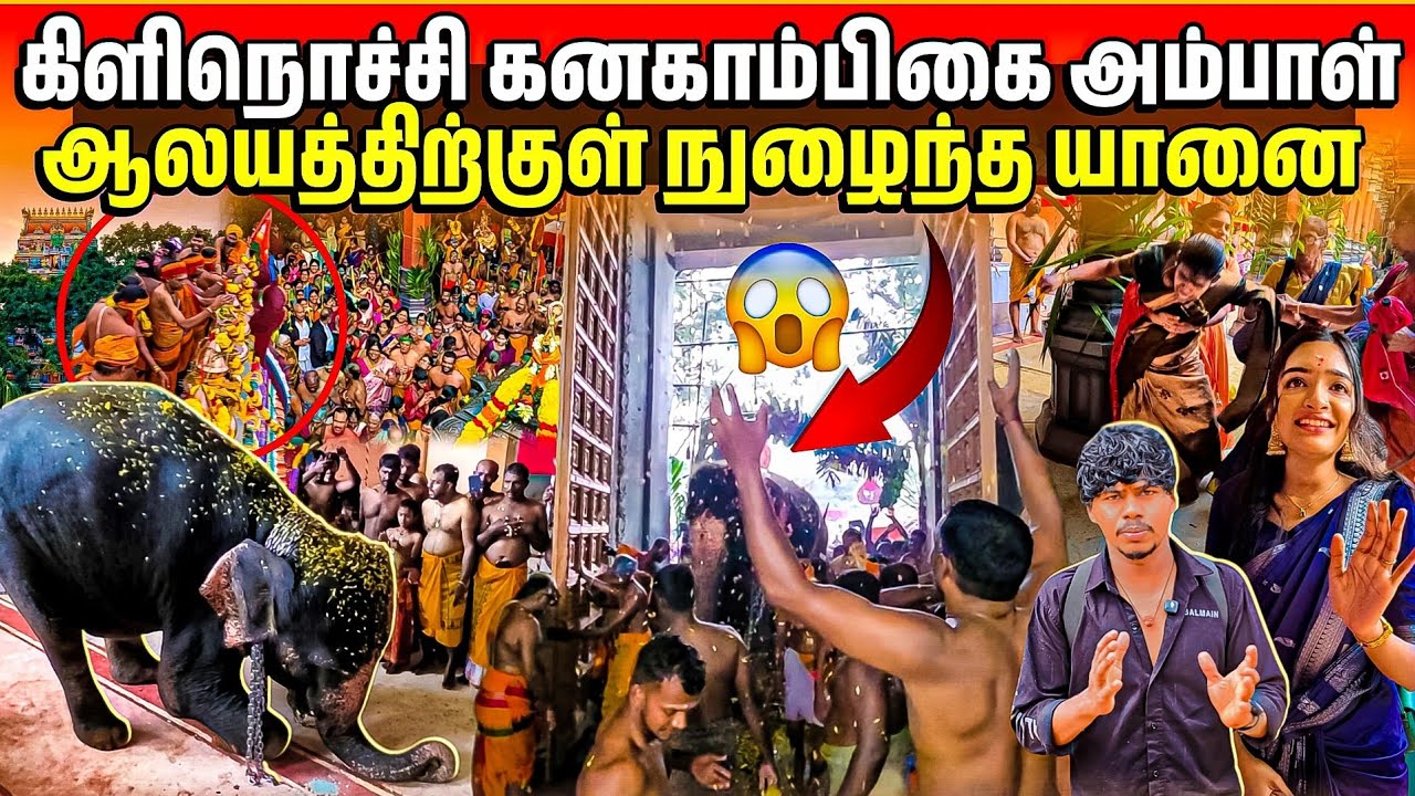 🔴 யானையால் கிளிநொச்சி கனகாம்பிகை கதவு திறந்தது 😱| அடை மழையில் புலம்பெயர் மக்கள் | Rj with Kj