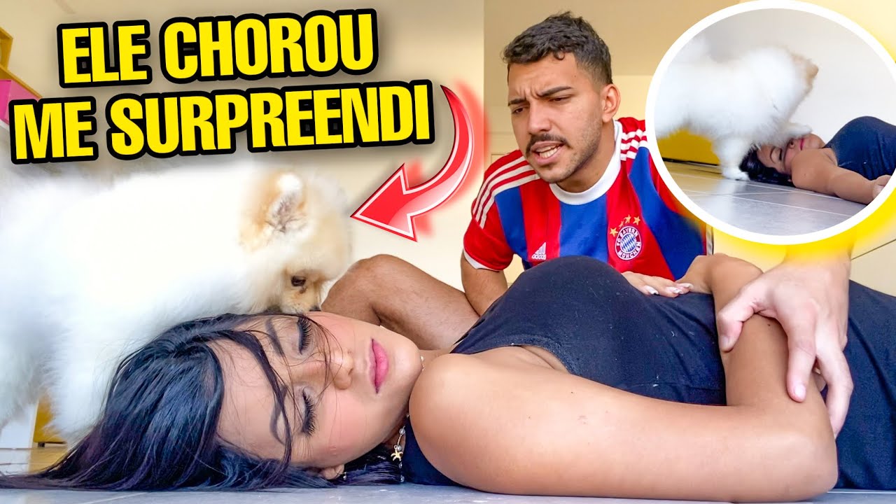 EMOCIONANTE A REAÇÃO DO MEU CACHORRINHO! 💔😭 *TROLLAGEM*