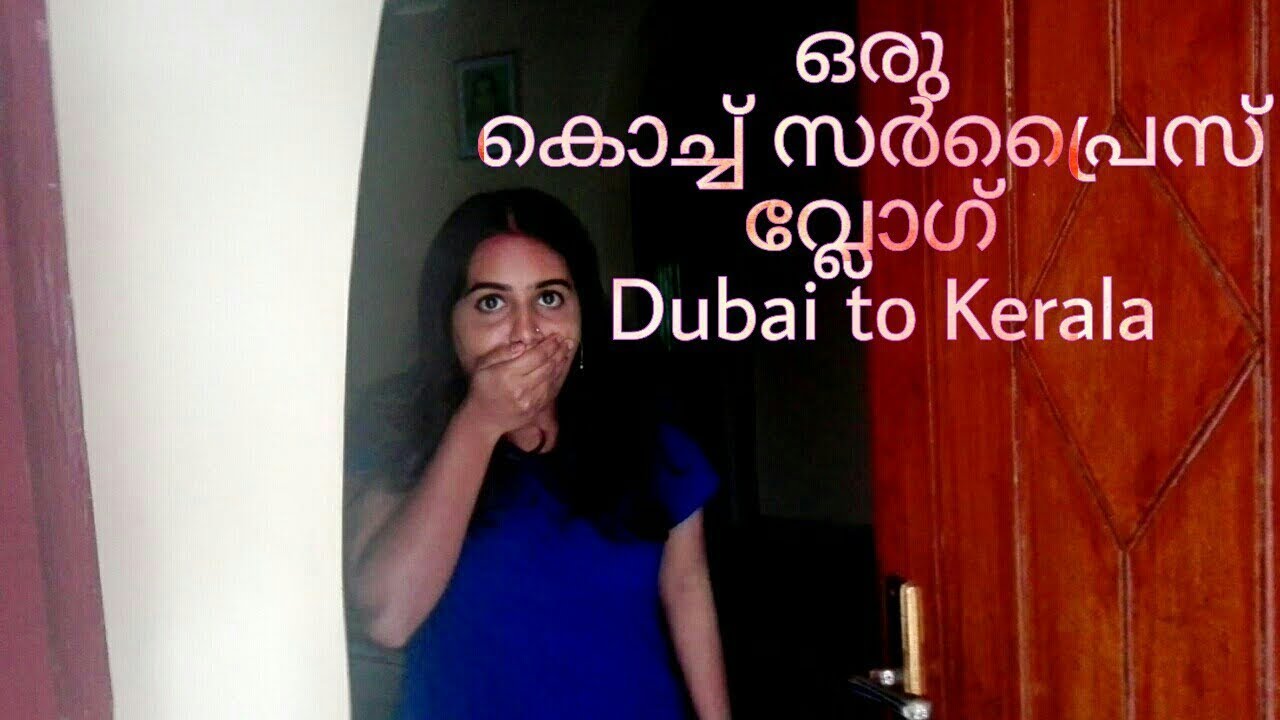 ഒരു കൊച്ച് സർപ്രൈസ് വ്ലോഗ് | Dubai to Kerala surprise vlog |