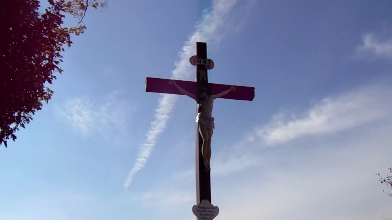 Tłumacz&oacute;w na filmie i fotografii 17 wrzes.  2018 r.