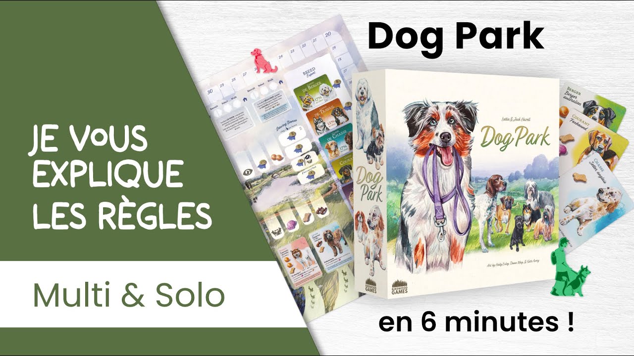 Je vous explique les règles du jeu DOG PARK en moins de 6 minutes!