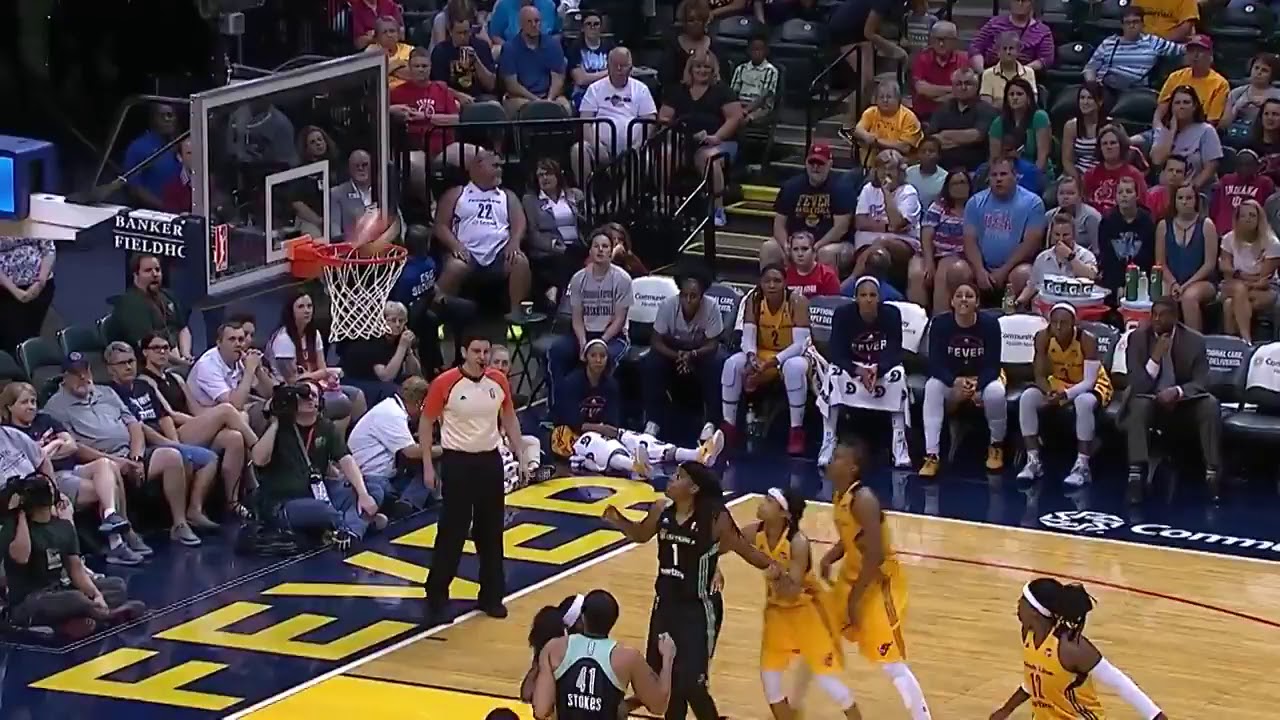 Swin Cash Career Highlights