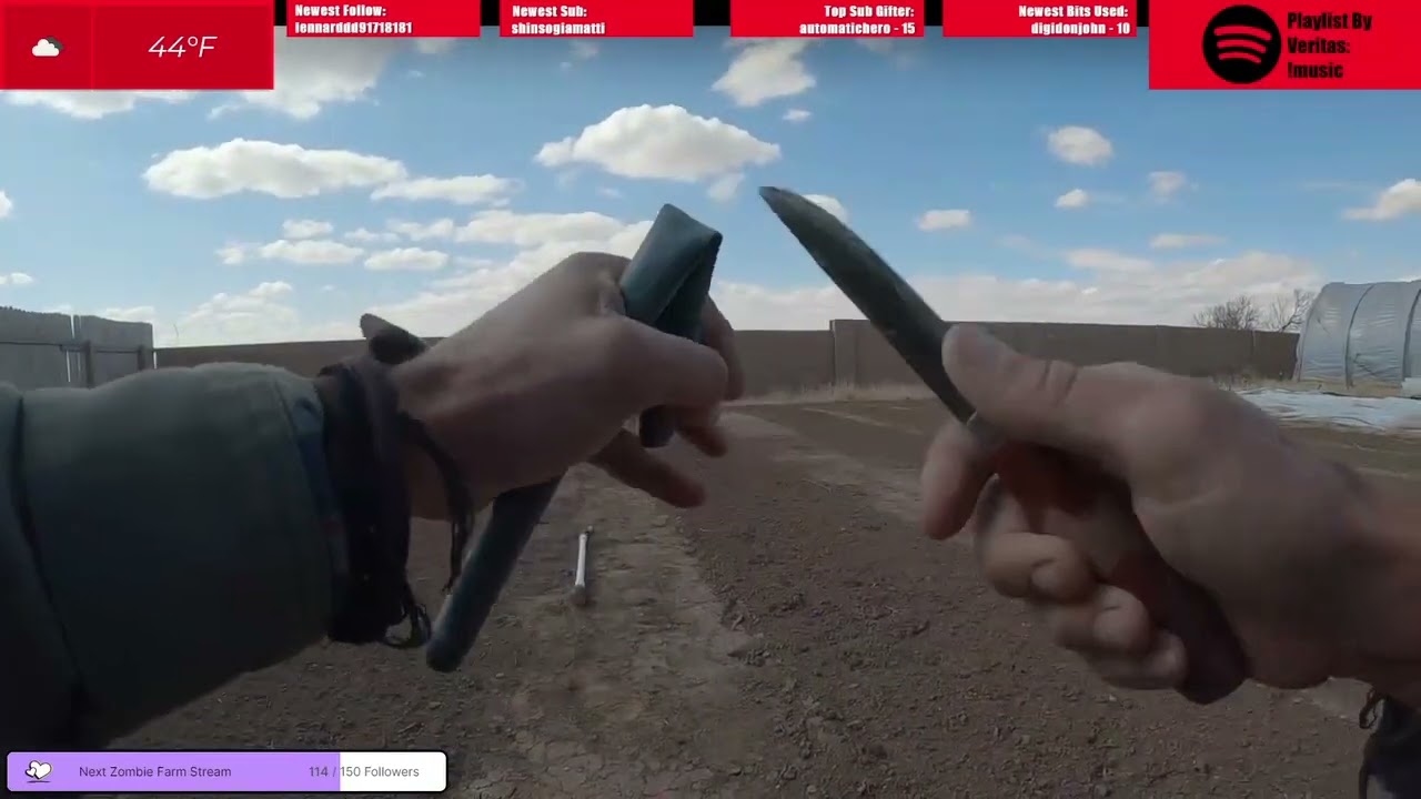 Multiple fine feeder roots are still attached in bare root plantings.