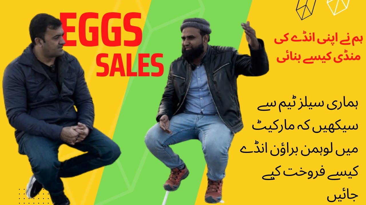 Learn from Our Sales Team, How to Sell Lohmann Brown Eggs in Market. How We Made Our Egg Market.