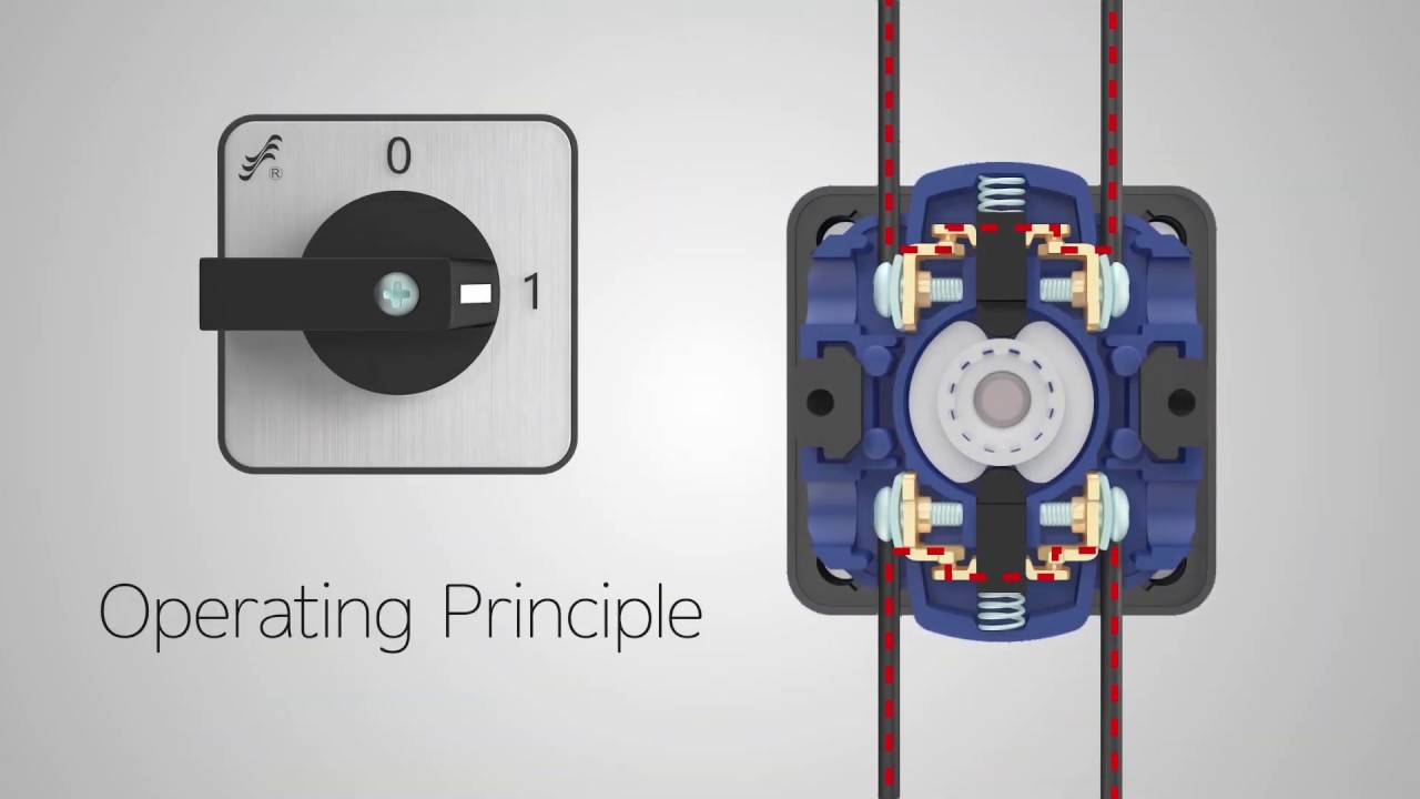 Rotary Cam Switch