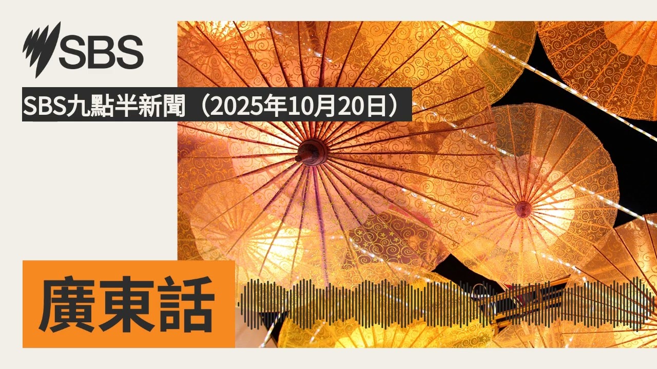 SBS九點半新聞（2025年10月20日） | SBS Cantonese - SBS廣東話節目