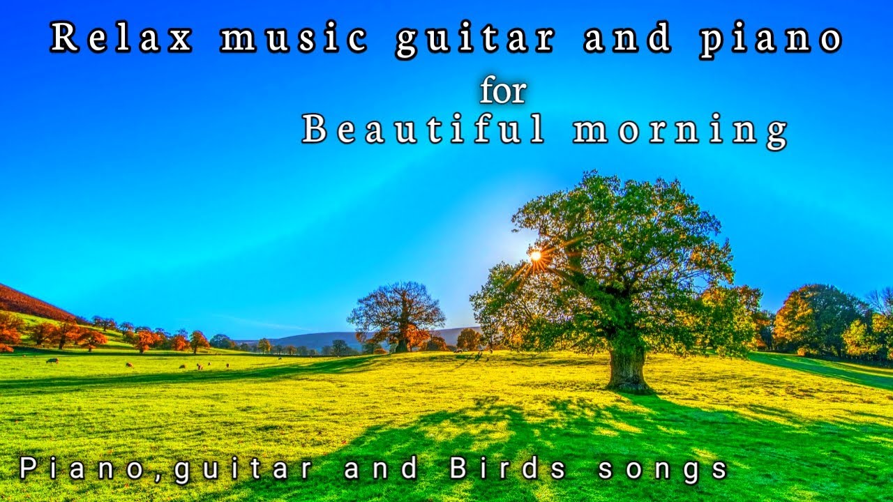 Beautiful relaxing music peaceful piano music and guitar music with Birds songs #relaxtingmusic