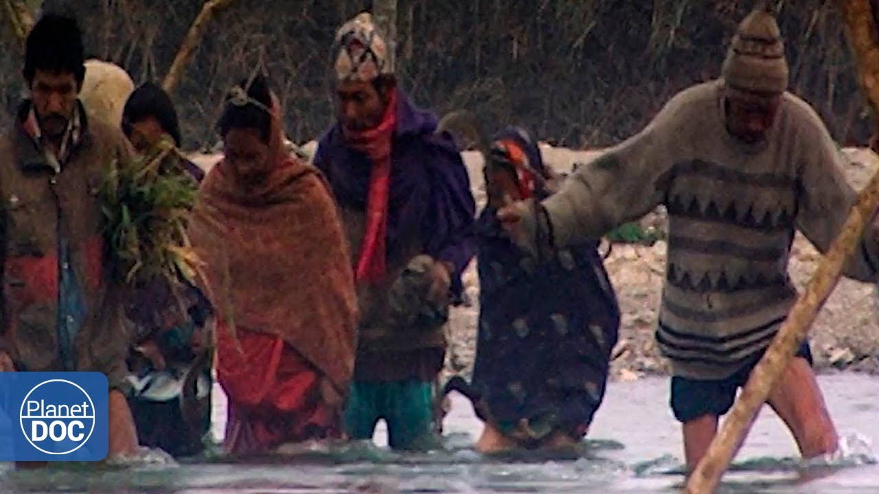 Supervivientes del Planeta Tierra. Refugios (Documental Completo)