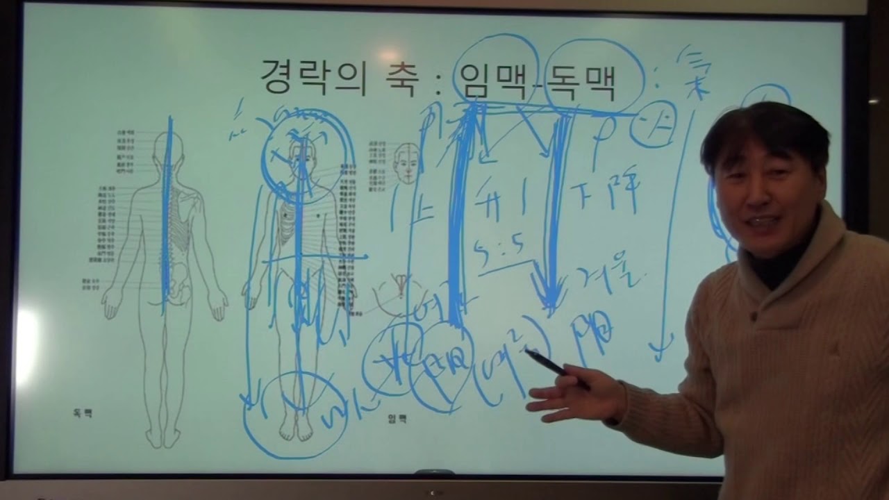 한의학 강의 ) 경락의 이해 2.  경락은 기의 시스템이다. 경락의 축인 임맥, 독맥. 경락과 오장육부. 경락은 인체의 모든 생리. 병리를 주도한다.
