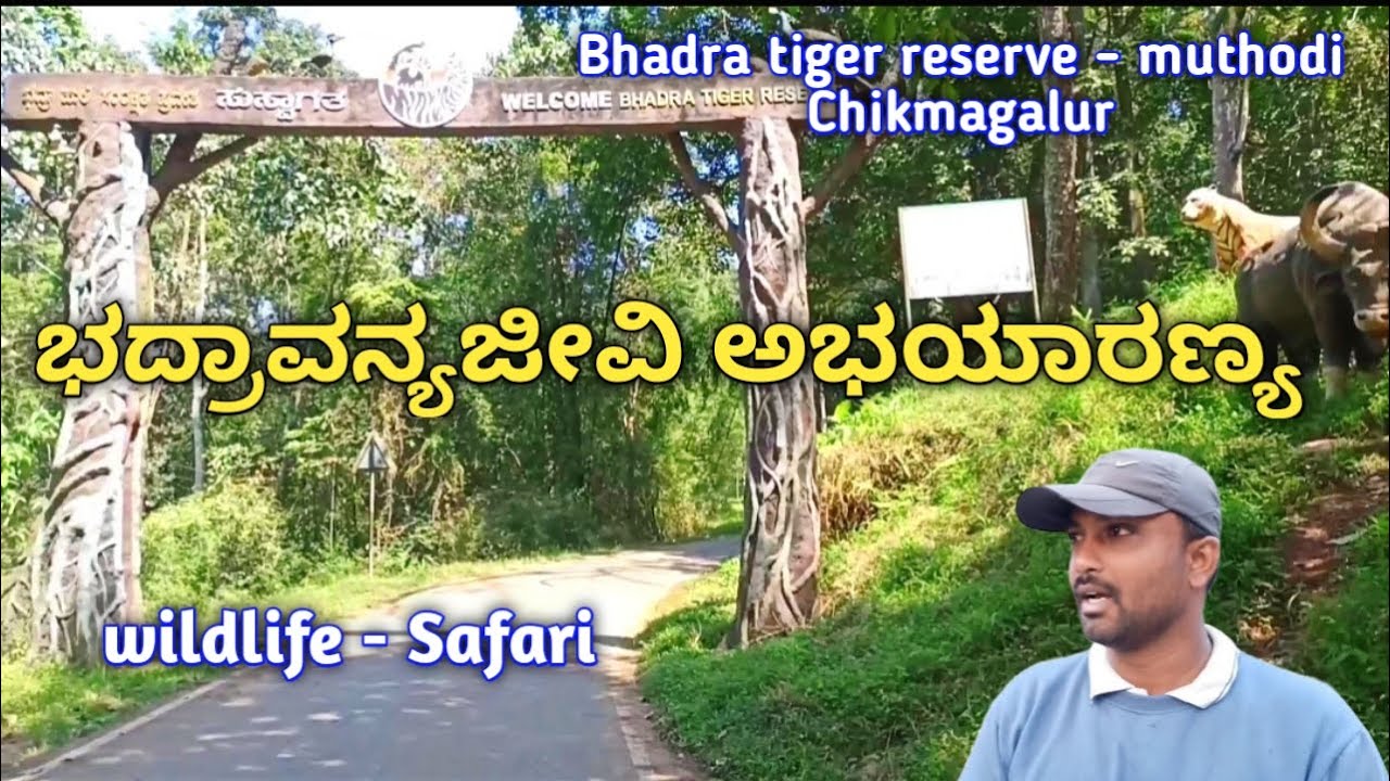 Bhadra tiger reserve - muthodi Chikmagalur | wildlife - Safari | ಭದ್ರಾವನ್ಯಜೀವಿ ಅಭಯಾರಣ್ಯ.