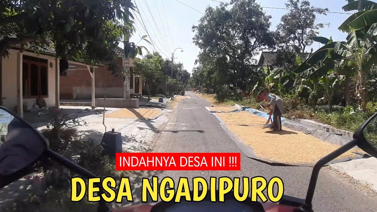 Suasana Pedesaan Yang Indah | Ds. Ngadipuro Widang Kabupaten Tuban
