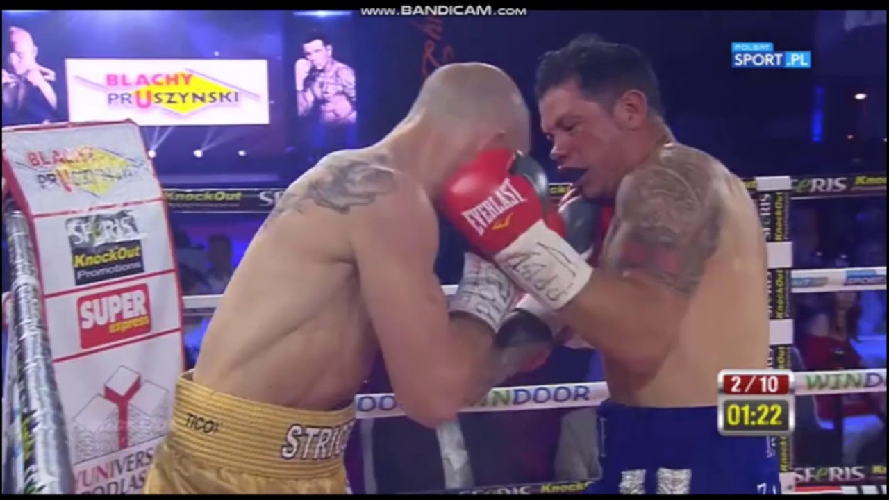 Maciej Striczu Sulęcki Highlights