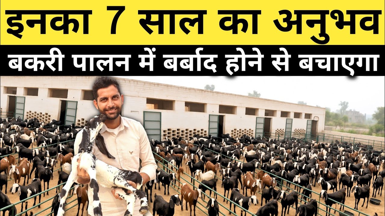 बकरी पालन शुरू करते समय ये गलती ना करें | Goat Farming For Beginners