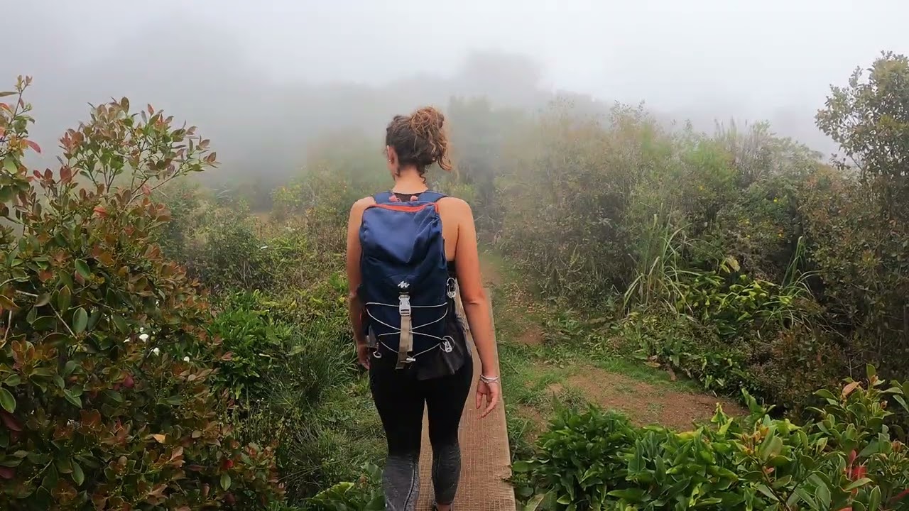 LA REUNION - Randonnée Maïdo, Ilet Alcide