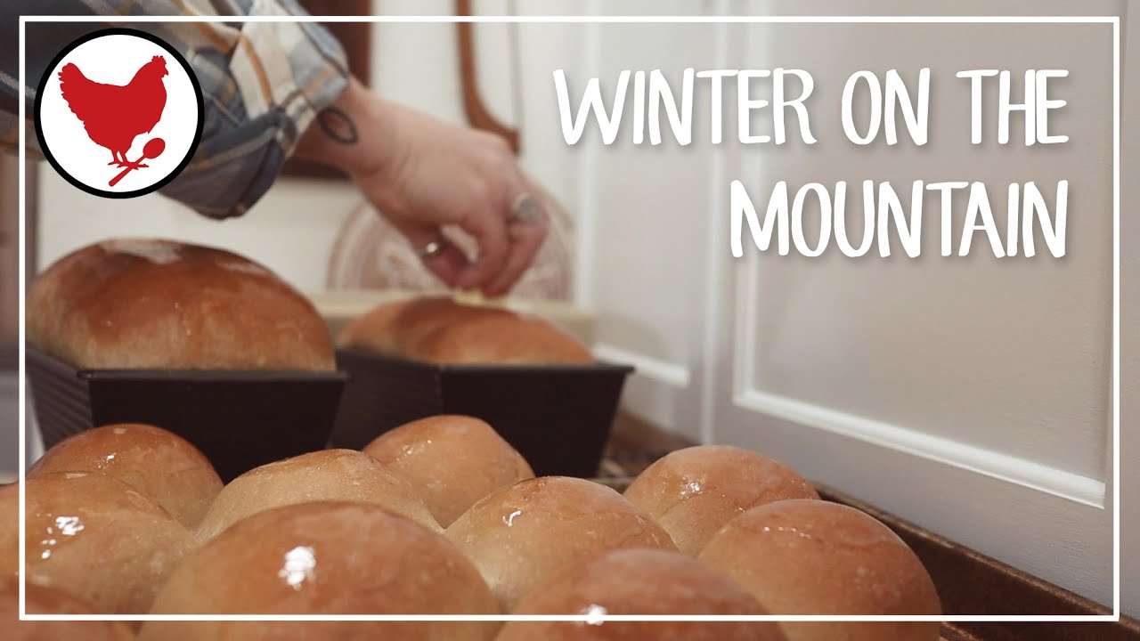 A Cozy Winter Day in the Life | Pets with Purpose | Hungarian Goulash | Slow Living
