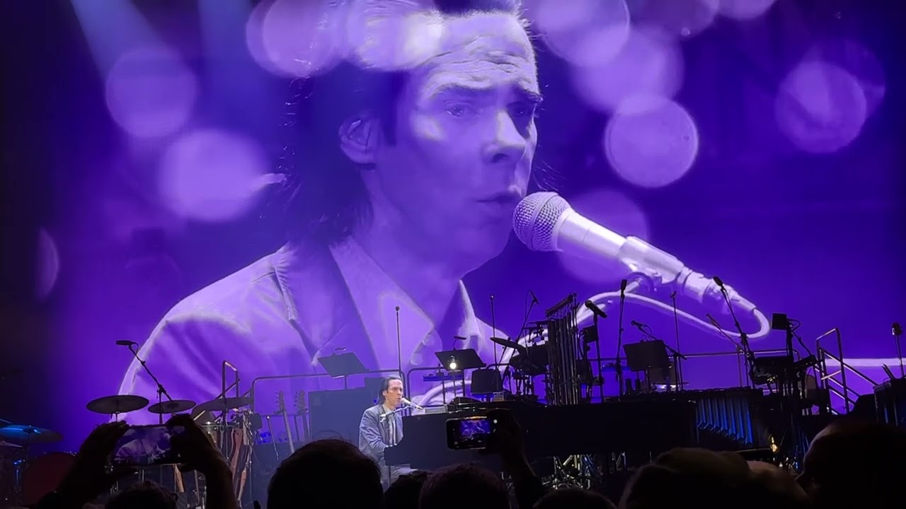 Nick Cave - Into my Arms live in Zürich 22.10.2024