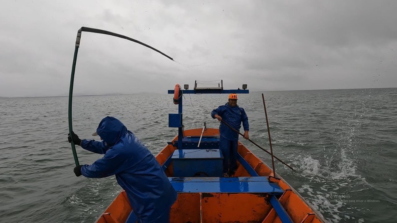 PESCARIA DE BATE BATE -  Sashimi de Robalo