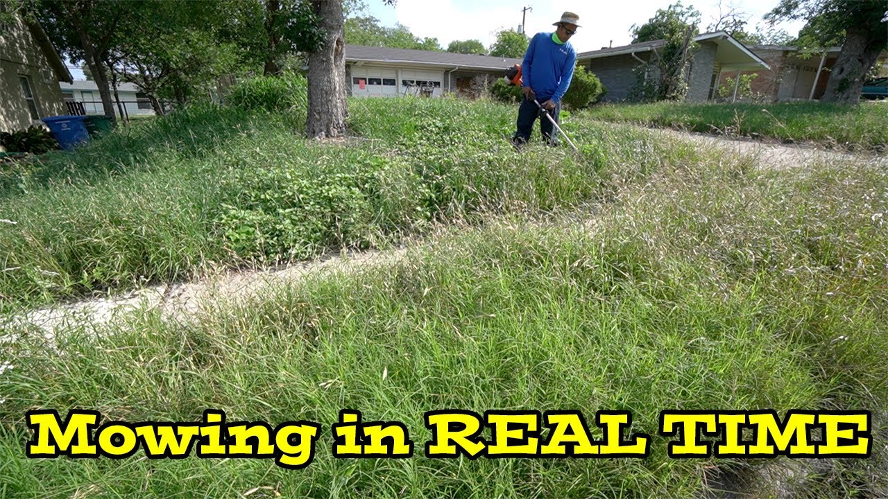 Mowing in REAL TIME | Not ONE PERSON cared for this yard for 15 YEARS so I MOWED it for FREE