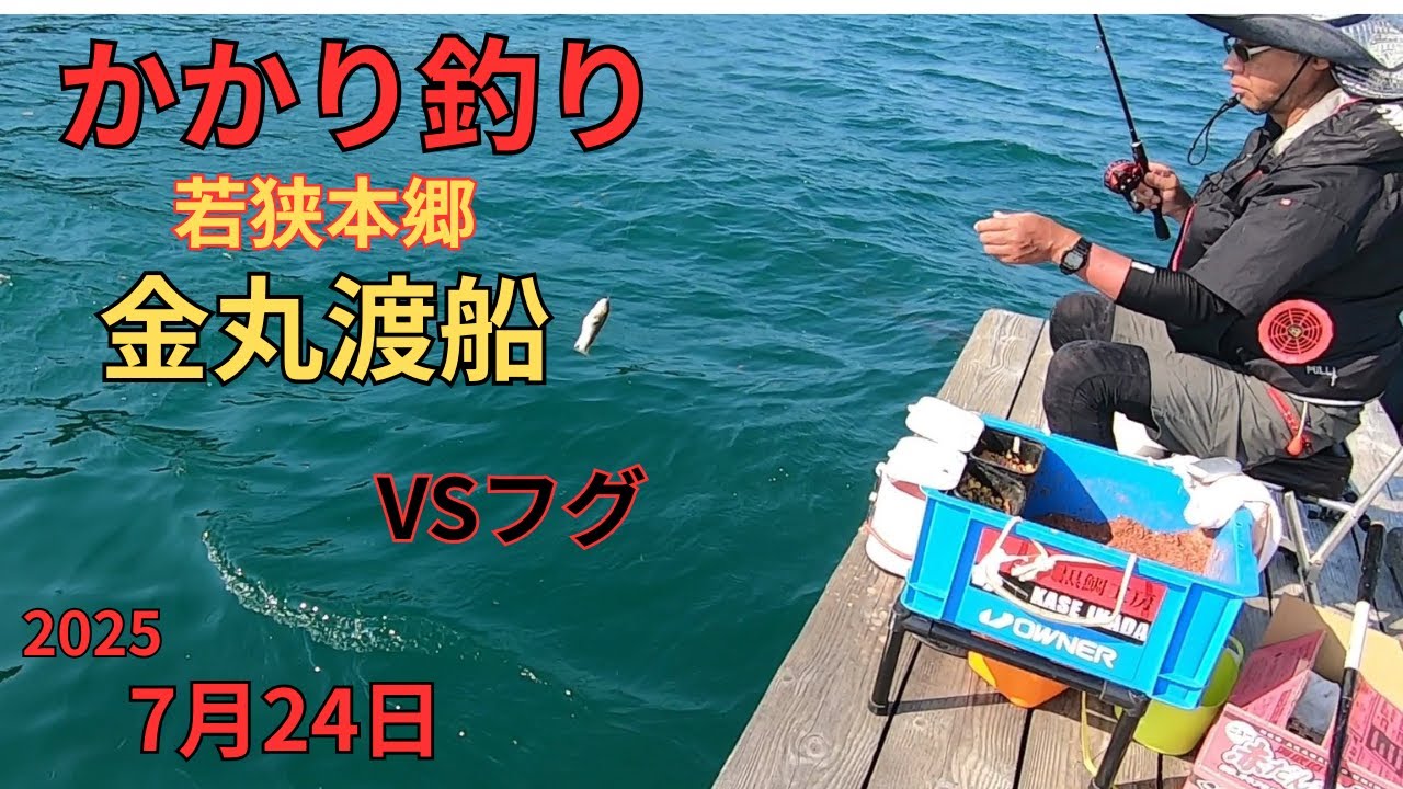 【かかり釣り】若狭本郷金丸渡船2025.7.24
