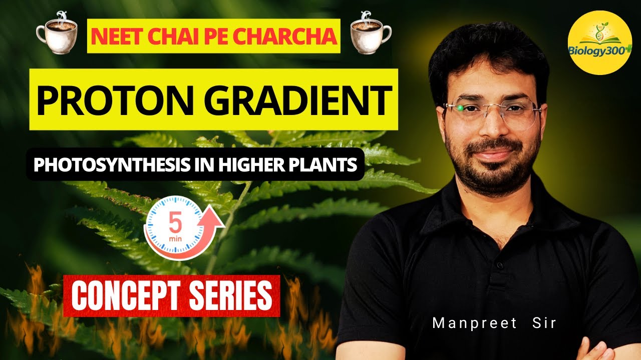 Proton Gradient & PMF Explained in 5 Minutes| Photosynthesis | NEET bio 2026 | Manpreet Sharma Sir
