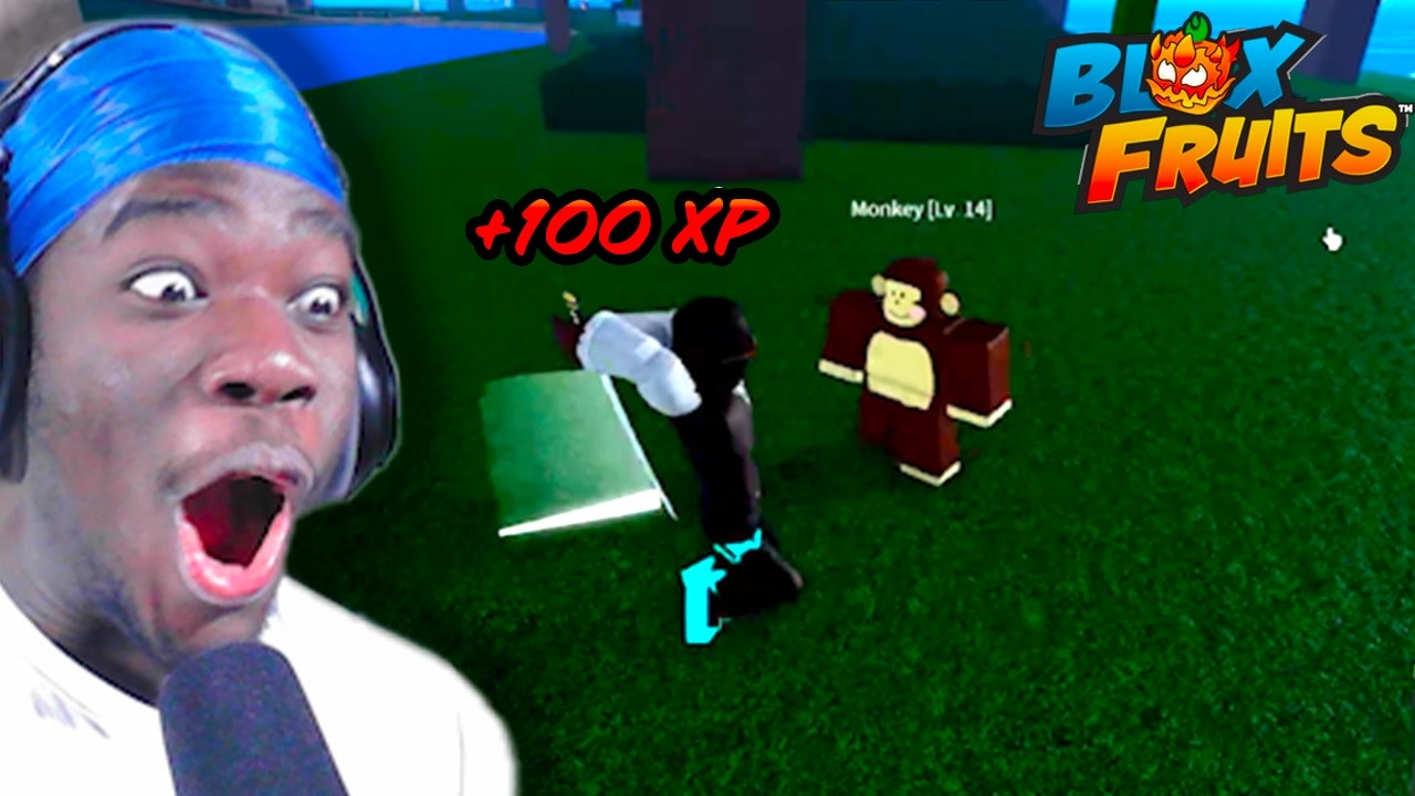 I Played Blox Fruit in Roblox