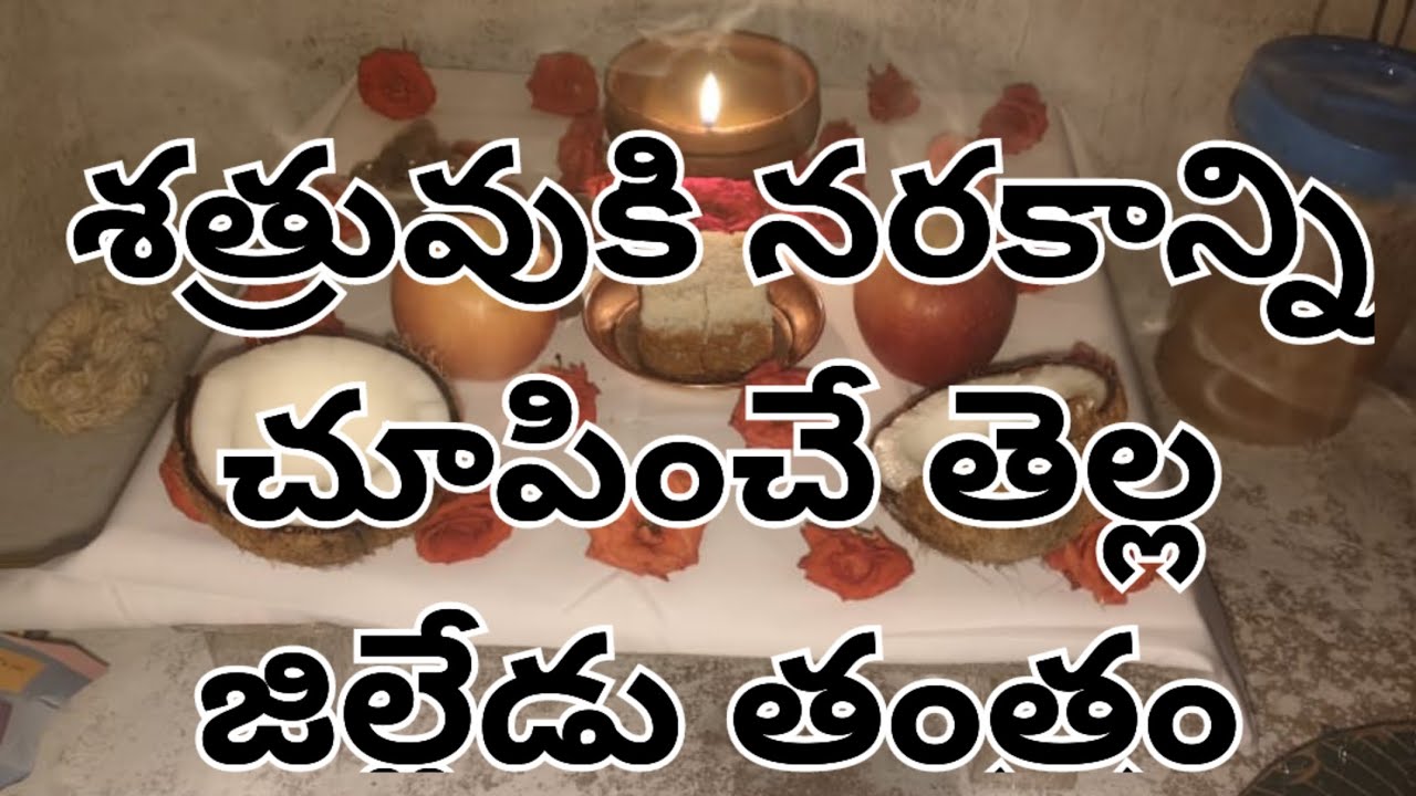 శత్రువుకి నరకాన్ని చూపించే పవర్ఫుల్ తెల్ల జిల్లేడు తంత్రం