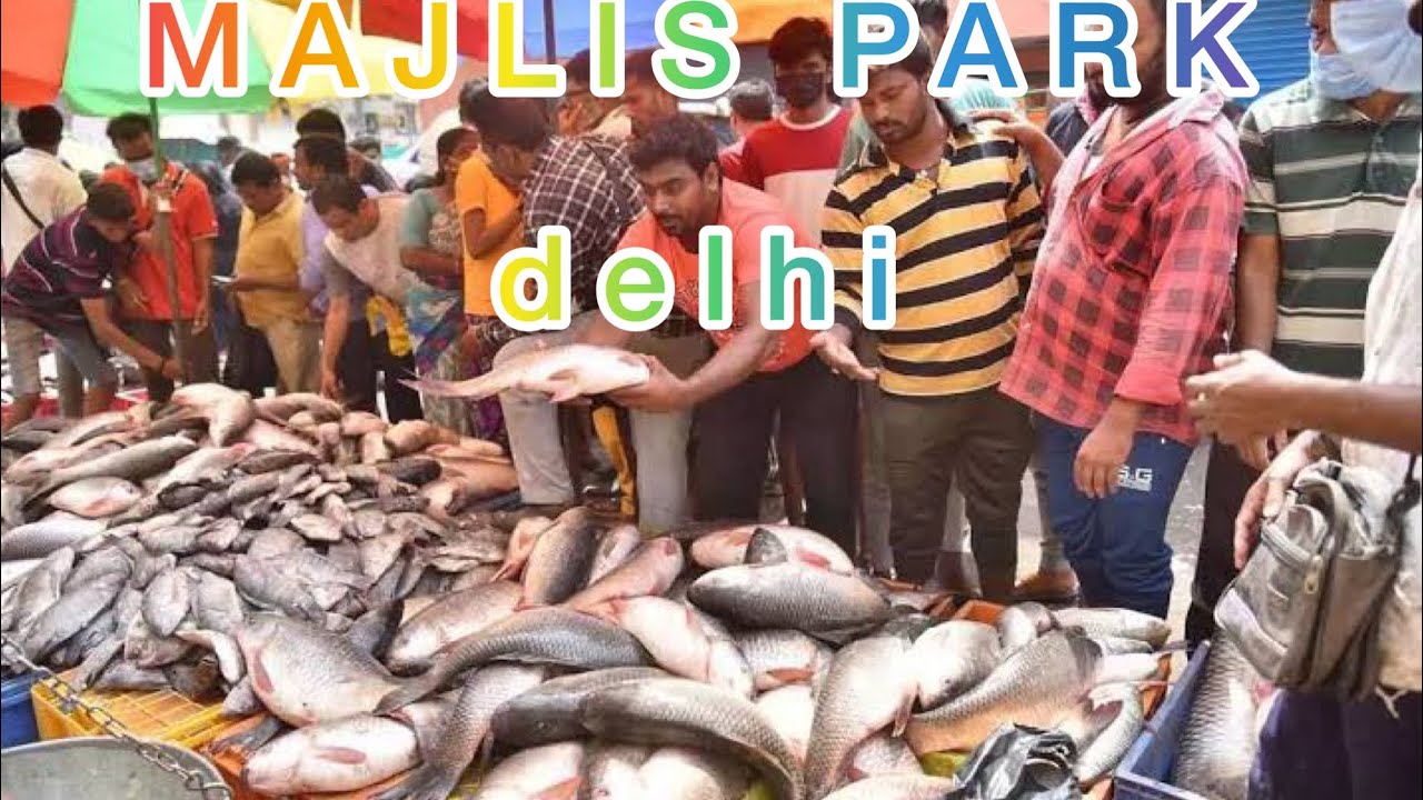 MAJLIS PARK METRO STATION | MACCHI MARKET | FISH MARKET