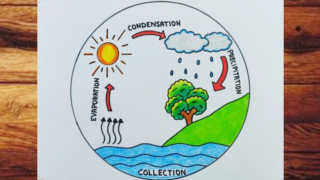 How to Draw Water Cycle / Water Cycle Drawing For School Project / Water Cycle Drawing Easy