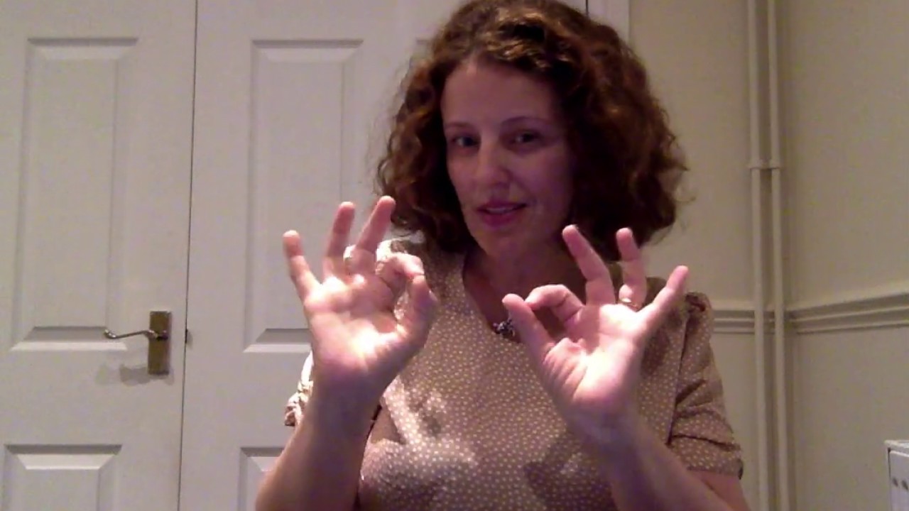 BSL receptive practise Level 1 [my family]