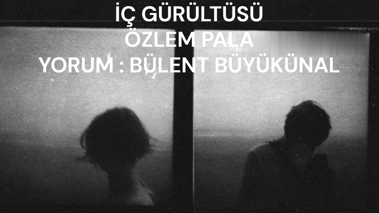 ŞİİR : İÇ GÜRÜLTÜSÜ / ŞAİR : ÖZLEM PALA